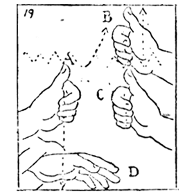 COMPOSE