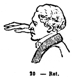 RAT