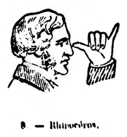 RHINOCEROUS
