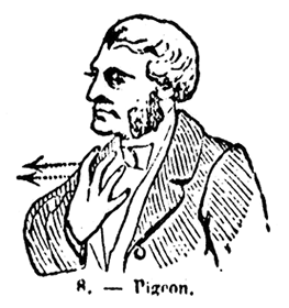 PIGEON
