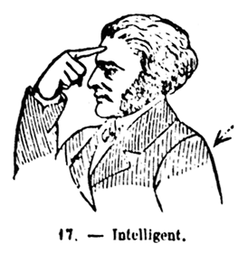 INTELLIGENT